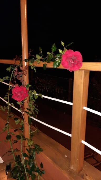הוילה סנשנשו La Casita מראה חיצוני תמונה